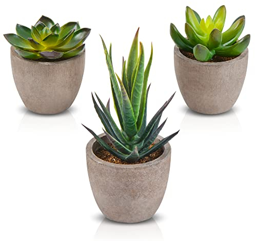 Zalava Plantas Suculentas Artificiales, 3 Piezas Plantas Artificiales Decorativas, Verdes Planta Falsa con Maceta, Pequeños Adornos Suculentos Adecuados para Hogar Oficina Jardín Baño Cocina Balcón