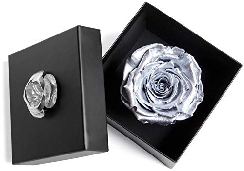 Ewige Rose Silber haltbar 3 Jahre in Box Rose konserviert (Silber, 1 Rose)