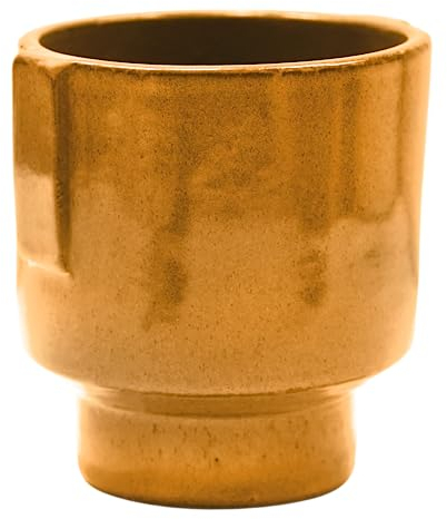 Ivyline Aries Glazed Handle Planter in Rust - Premium Quality - Lightweight and Waterproof - Indoor Houseplant Pot - H20cm x D19cm