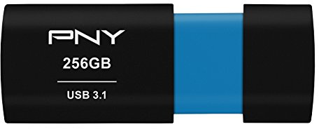 PNY Elite-X 256GB USB 3.1 Gen 1 Flash Drive, Read Speeds up to 200MB/s (P-FD256ELX-GE)
