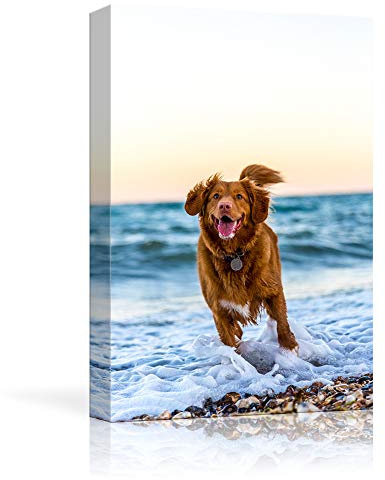 NWT Custom Canvas Prints with Your Photos for Pet/Animal, Personalized Canvas Pictures for Wall to Print Framed 24x16 inches