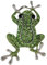 Wizoowip Broche en Alliage Broche Grenouille Broche Unisexe Forme Grenouille Alliage Strass Décor pour Sac Manteau Collier Chapeau Écharpe Fête Bal Vêtement Bijoux B