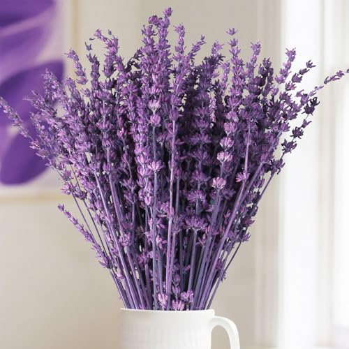 Celblisora 56g Getrocknetes Lavendelblütenbündel–Konservierte Lavendelzweige,Lila Blütenstrauß,Blumenschmuck für Hochzeitstische,Heimdekoration,DIY-Bastelarbeiten,Trockenpflanze