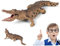 Xweptuy Alligator -Spielzeugfigur, 7, 1 x 2, 8 x 2 Zoll realistische Krokodilspielzeugfigur mit beweglicher Kiefer, Plastik -Wildtier -Spielzeugfigur für Jungen und Mädchen