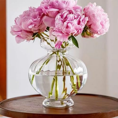 Große gerippte Glasvasen für Mittelstücke Innjoii Breite Große Hyazinthe Vase Birne Avocado klare Vasen für Tischdekorationen Moderne Dicke für Hochzeit Home Wohnzimmer Dekor 19,4 cmBreite x 22cmHöhe