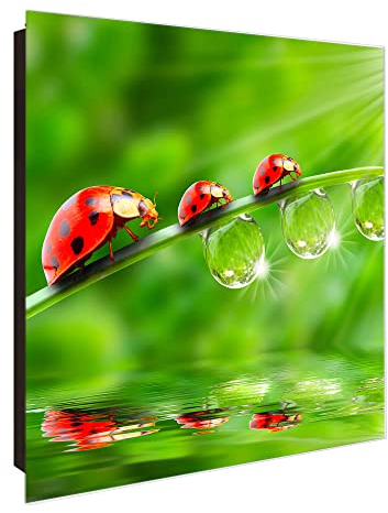 banjado® Großer Schlüsselkasten Glas/Schlüsselbox 30cm x 30cm mit 50 Haken - Motiv Für Jeden Einen/Schlüsselkasten modern für Schlüsselaufbewahrung mit beschreibbarer, magnetischer Glastür
