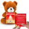 Regalo Novia - Regalos Para Novia - Regalos Para Novia Cumpleaños - Regalos Originales Para Mi Novia - Regalos Novia - Regalos Para Tu Novia -Oso San Valentin -Osito San Valentin- Regalos Novia Joven