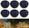 Solarleuchten Ersatzteile, XPJBKC 6 Stück Solar Laterne Ersatzdeckel 8cm, Solarlampen Ersatz Top mit Led, Led Solarmodule Ersatz, Wasserdicht IP44, Ersatz Solarmodul für Gartenleuchten Terrasse DIY