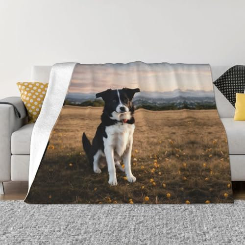 YHBLYKXP Ultraweiche Micro-Fleece-Decke mit Hundemotiv, für Schlafzimmer, Sofas und Wohnzimmer