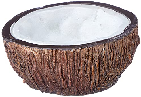 Exo Terra Tiki Bol à Eau Noix de Coco