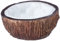 Exo Terra Tiki Bol à Eau Noix de Coco