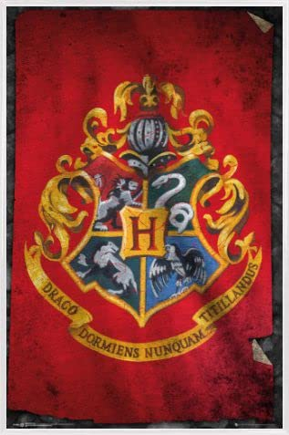 Harry Potter Cartel con Marco (Plástico) - Bandera De Hogwarts (91 x 61cm)