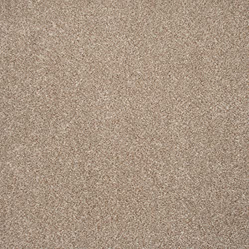Stain Resistant Twist Carpet 8mm Thick Felt Backed Hard Wearing Pile Living Room Hall (Beige - 4m x 3m)