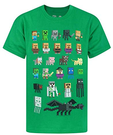 Minecraft T-Shirt for Boys | Kids Sprites Green Characters Short Sleeve Game Top | Gamer Merchandise 13-14 Years