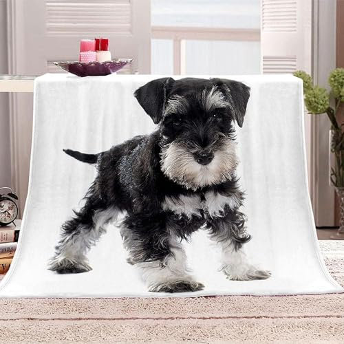 Kuscheldecke Flauschig Schwarzer Welpe 3D Decke 220x240 Mops Wohndecke Tier Weich und Warme Flanell Fleecedecke für Sofadecke Couchdecke Tagesdecke m1434
