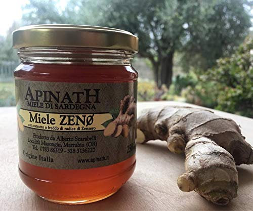 6 x 250 gr - Miele con estratto a freddo di zenzero, prodotto in Sardegna da Apinath, esperti apicoltori da apicoltura nomade.
