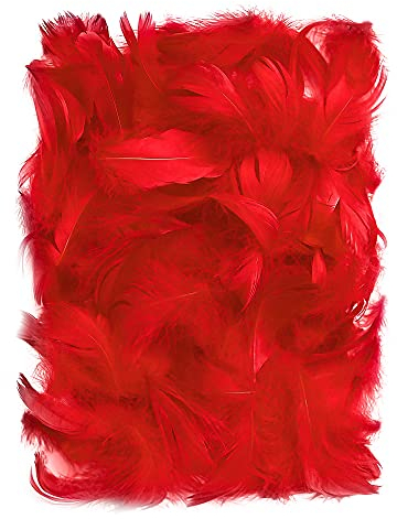 Netuno 150 Stück Deko Federn Rot 10g Flaumfedern Schmuckfedern Vogelfedern Bastelfedern Natur für DIY Basteln Dekoration Ostern Weihnachten Dekofigur