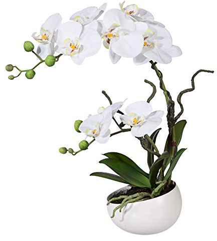 wohnfuehlidee Kunstpflanze Orchidee Phalenopsis, weiß, mit Deko-Keramik-Schale, Kunstblume Höhe 42 cm, Künstliche Orchidee im Topf
