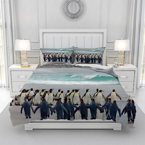 Bettwäsche 240X220 Pinguin Bettbezug Set,Bettbezüge-Sets 3 Teilig Mikrofaser Bettbezug Mit Reißverschluss Und 2 Kissenbezug 80X80Cm, Bettwäsche-Sets Modern,Bettwäsche Im Schlafzimmer