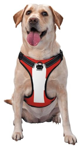 Hundegeschirr mit Schweizer Flagge für kleine, mittelgroße und große Hunde, reflektierende Riemen, verstellbare Passform, mit Schnellverschluss-Schnallen