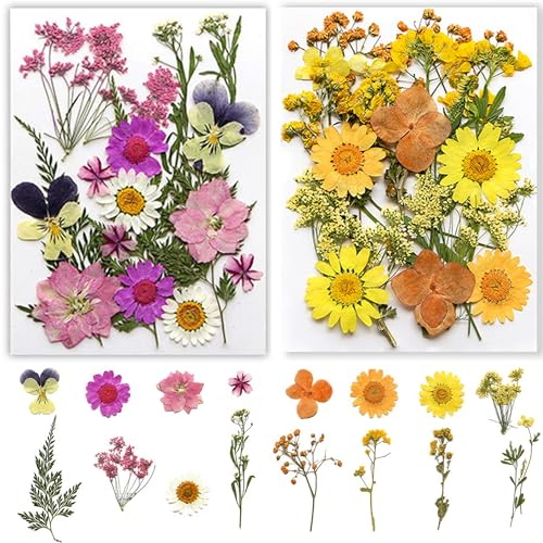 Trockenblumen, Getrocknete Blumen, Trockenblumen Zum Basteln Trockenblumen Klein Trockenblumen Set für DIY Epoxidharz Scrapbook Zubehör Handgemachte Heimdekoration Hochzeit (A+B)