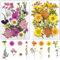 Trockenblumen, Getrocknete Blumen, Trockenblumen Zum Basteln Trockenblumen Klein Trockenblumen Set ​für DIY Epoxidharz Scrapbook Zubehör Handgemachte Heimdekoration Hochzeit (A+B)