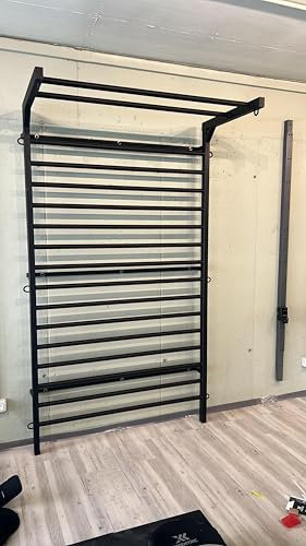 Artimex Sprossenwand aus Metall, 240 x138 cm, 231-Gladiator-990