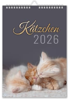 Kalender 2026 Katzen Wandkalender DIN A4 Katzenkalender mit Schulferien Katze-Motiv Kätzchen Tiere V11