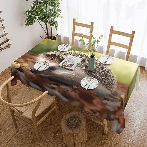 TOMPPY Rechteckige Tischdecke, Igel, bedruckt, waschbar, Polyester, wasserdicht, auslaufsicher, knitterfrei, Tischdecke für Esstisch, Buffet, Partys, Camping, 137 x 183 cm