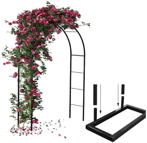 Arco per Rose Rampicanti, Garden Arch Pergolas Antiruggine Metallo, Archetto Sostegno Traliccio Resistente Alle Intemperie per Piante Rampicanti, Decorazione Giardino, matrimoni Feste((WXH)280x250cm)