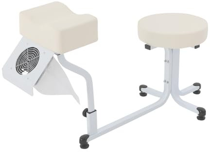 DHQCQL Chaise de soin des pieds, mobile, 22 W, 220 V, avec ventilateur de nettoyage de la poussière, coussin multifonction en polyuréthane, chaise de pédicure pour Nail Tech Spa Beauty Salon Studio