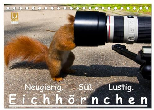 Eichhörnchen (Tischkalender 2025 DIN A5 quer), CALVENDO Monatskalender