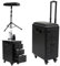BRRIDE Kosmetikkoffer Trolley Tattoo Koffer mit Armlehnenständer, Make-up Koffer mit 3 Schubladen & Kombinationsschloss & Werkbank, Tattoo Tisch Beauty Stand, Kosmetikerin Stickerin (Acrylplatte)