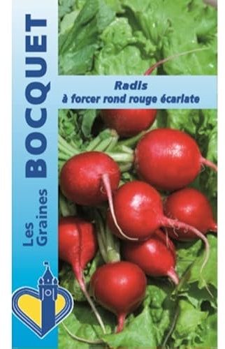 Sachet de graines de Radis à forcer rond écarlate - 10 g - LES GRAINES BOCQUET