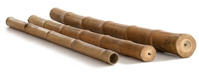 Tube de bambou Moso Ø 3-4 cm x L 200 cm – Bâtons de bambou robustes – Bambou comme décoration en bois de construction pour jardin et terrasse