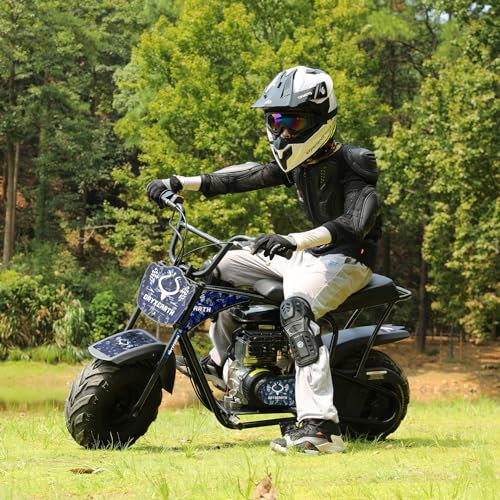 Dirt Bike 105CC 4-Takt benzinbetriebenes Off Road Kinder Pit Bike mit 4 Arten von DIY-Aufklebern, Automatikgetriebe und Seilzugstarter Pocket Bike ab 13 Jahren Teenager Erwachsener