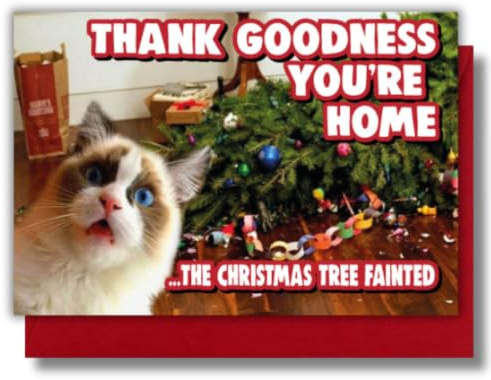 Funny Cat Christmas Card – The Christmas Tree Fainted XM362