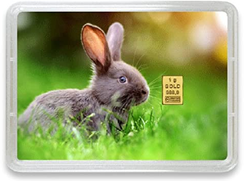 Goldbarren 1g – Geschenk Motivbox “Frohe Ostern” Tolle Geschenkidee - Feingold 999,9