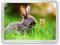 Goldbarren 1g – Geschenk Motivbox “Frohe Ostern” Tolle Geschenkidee - Feingold 999,9