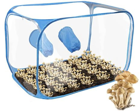 Still Air Box, Set di Contenitori per Funghi in PVC Pop-Up, Allevamento di Funghi, Set Compatto per Interni, Casa, Giardino, Serra, Mini Casetta per Piante Grasse