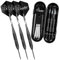 flintronic 3 Stück Profi Steeldarts, Dartpfeile Mit Metallspitze 24 Gramm, Black Dartpfeile Steeldarts, Steel Dartpfeile Mit PVC Schäften, Non-Slip Stainless Schäfte, Flights und Einer Geschenkbox