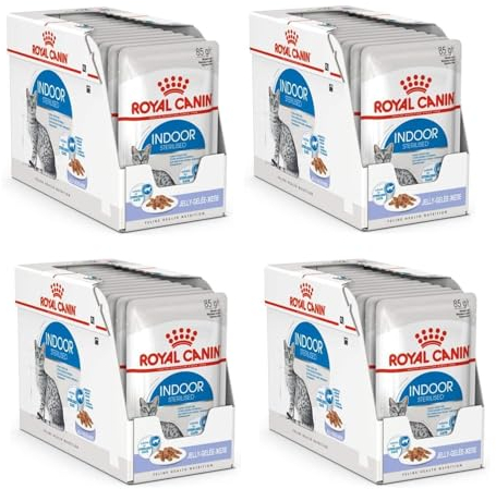 Royal Canin Indoor Sterilised in Gelee | 4er Pack | 4 x 12 x 85 g | Alleinfuttermittel für ausgewachsene Katzen die im Haus Leben | Für sterilisierte Katzen | Häppchen in Gelee