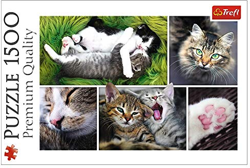 Trefl, Puzzle, Katzensachen, 1500 Teile, Collage, Premium Quality, für Erwachsene und Kinder ab 12 Jahren
