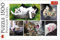 Trefl, Puzzle, Katzensachen, 1500 Teile, Collage, Premium Quality, für Erwachsene und Kinder ab 12 Jahren