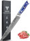 SANMUZUO Damaststahl Tranchiermesser 23 cm Fleischmesser - Xuan Serie - VG10 Damaskus Stahl Kochmesser Schinkenmesser mit Harz Griff (Saphirblau)