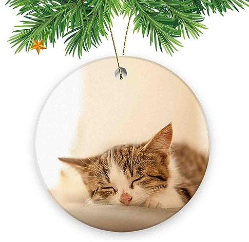 Weihnachtsbaumschmuck, 7,6 cm, Motiv: schlafende Katze, für Familie