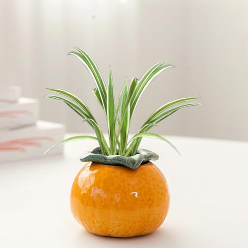 BEIJIALY Ceramic Orange Vase, Plant Pots Succulent Planters for Indoor Plants, Cute Ceramic Flower Pot, Orange Shaped Cactus Plants Pot Container, Decorative Planter(S)
