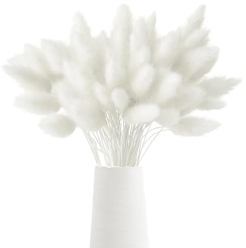 120 Stück Pampasgras Klein Trockenblumen 45cm Getrocknete Blumen | Hasenschwänze Pampasgras Natürliche Strohblumen Geeignet für Dekoration von Häusern im Bohème-Stil,Hochzeiten,Hotels(Weiß)