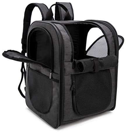 Apollo Walker Haustiertragetasche Rucksack für große/kleine Katzen und Hunde, Welpen, Sicherheitsmerkmale und Kissenrückenstütze für Reisen, Wandern, Outdoor (Schwarz)