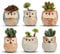 T4U 6CM Ceramic Succulent Planter Pots Mini Size Set of 6, Small Flower Plant Pots with Drainage Hole, Cute Owl Pots for Home Office Decoration, Desktop Windowsill Owl Gift for Gardener for Birthday